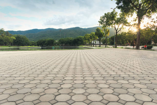 Best Driveway Paver Sealing  in Liberty, NC